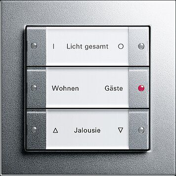 Gira 213326 Wippenset 3-fach mit Beschriftungsfeld, System 55, Klar/Farbe alu
