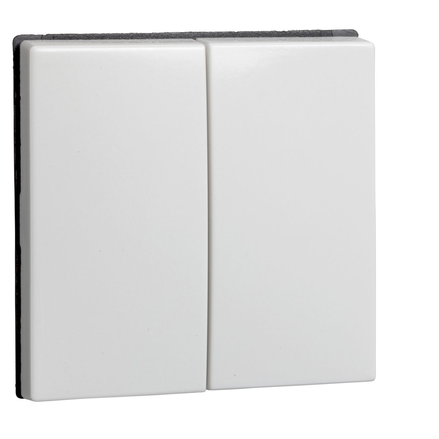 Elso 273504 Wippe 2-fach für  Serienschalter und Doppeltaster, Joy/Joy IP44, reinweiß glänzend
