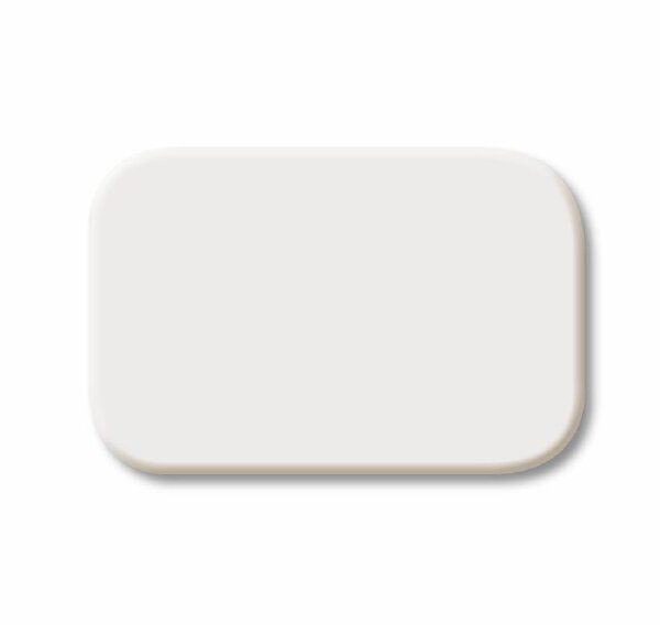 Busch-Jaeger 2525 N-214 Tastersymbol Neutral, alpinweiß glänzend, Reflex SI
