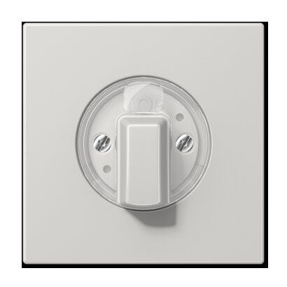 Jung LS1941LG Abdeckung für Drehschalter, Duroplast, Serie LS, lichtgrau