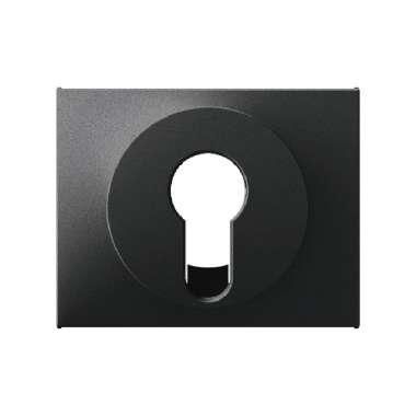 Berker 15057006 Zentralstück für Schlüsselschalter/-taster, K.1, anthrazit matt