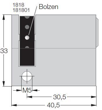 Berker 181801 Profil-Halbzylinder Zubehör, gleichschließend