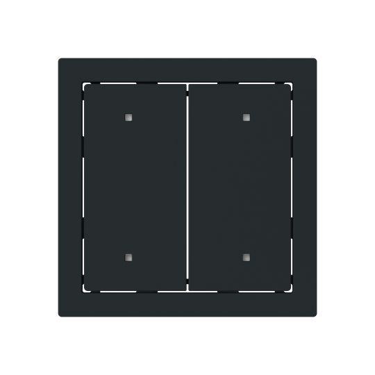 Busch-Jaeger 2570-20-45M Wippe 2-fach für Elektroniktaster mit transparenten Kalotten, schwarz matt