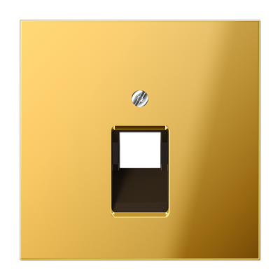 Jung GO2969-1UA Abdeckung für IAE/UAE-Anschlussdosen 1 x 8-polig, Metall goldfarben PVD-beschichtet, Serie LS, goldfarben