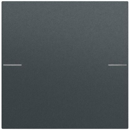 Gira 575173 Wippenset 1-fach für Tastsensor 4.70, System 70, anthrazit (lackiert)