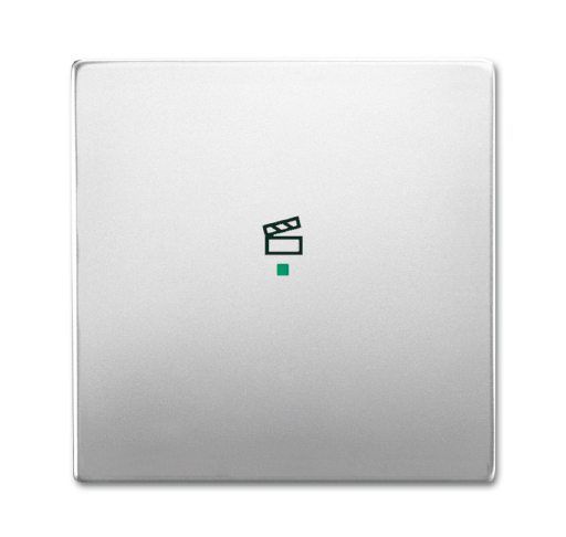 Busch-Jaeger 6233-10-866 Wippe 1-fach mit Symbol Szene