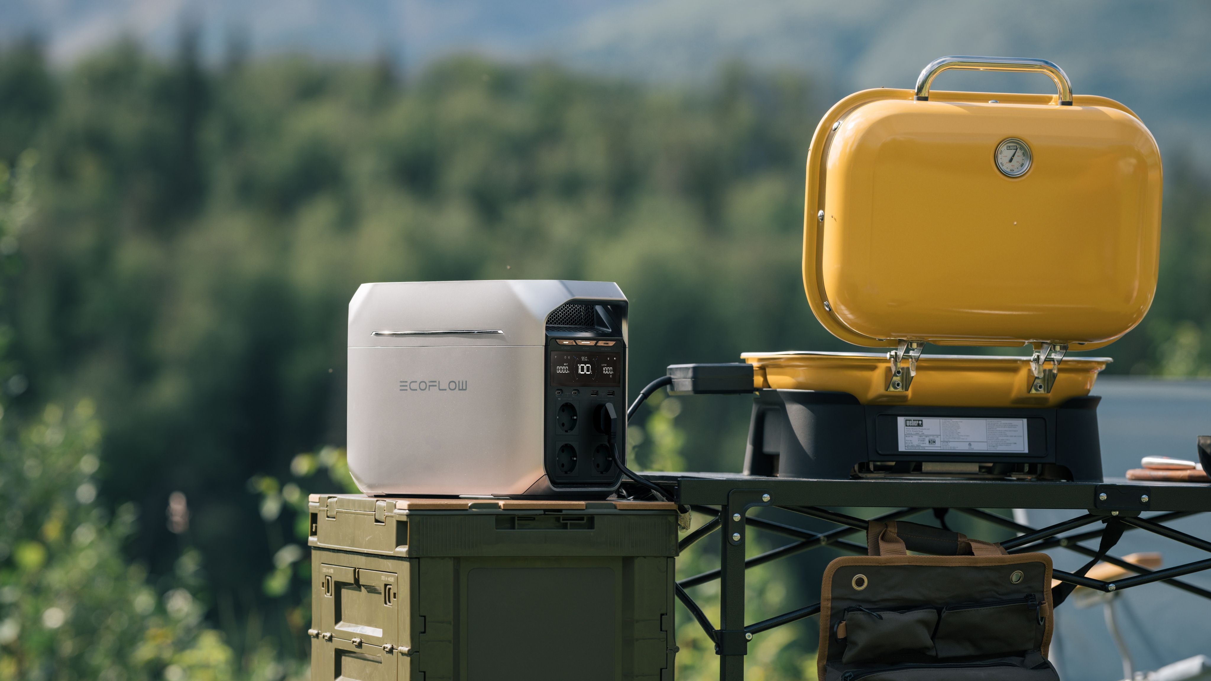 ECOFLOW EFDELTA3P-EU Delta 3 PLUS Portable Powerstation