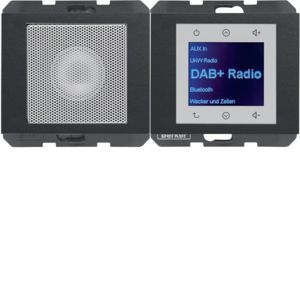Berker 29807006 Radio Touch mit Lautsprecher DAB+, K.x, anthrazit matt