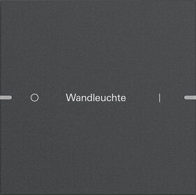 Gira 5031928 Wippenset 1-fach individuell für Tastsensor 4.95, Aluminium Anthrazit (lackiert)