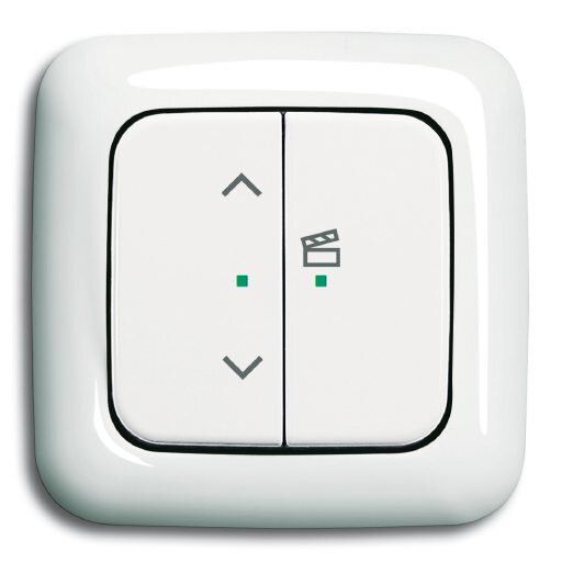 Busch-Jaeger 6233-22-214 Wippe 2-fach rechts mit Symbol Szene