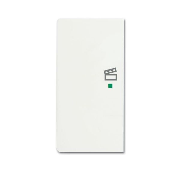 Busch-Jaeger 6233-21-884 Wippe 2-fach links mit Symbol Szene