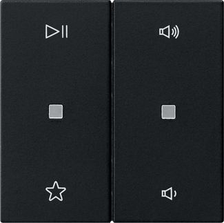 Gira 5384005 Wippe 2-fach Audiosteuerung, System 55, schwarz matt