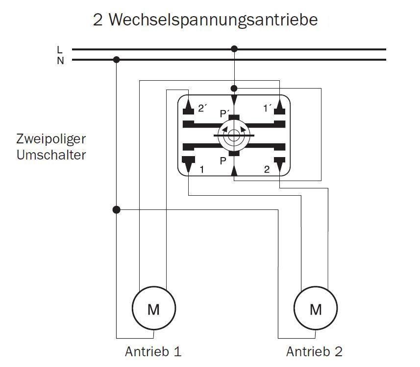 Merten 318901 Rollladentaster-Einsatz für Schließzylinder, 2-polig