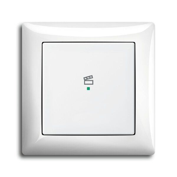 Busch-Jaeger 6233-10-914 Wippe 1-fach mit Symbol Szene
