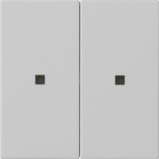 Gira 5369015 Wippe 2-fach unbedruckt Kontrollfenster, System 55, grau matt