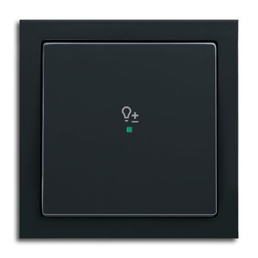 Busch-Jaeger 6234-10-81 Wippe 1-fach mit Symbol Dimmer