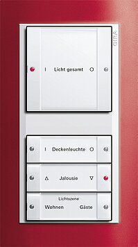 Gira 213403 Wippenset 4-fach (1+3) mit Beschriftungsfeld, System 55, Klar/reinweiß glänzend