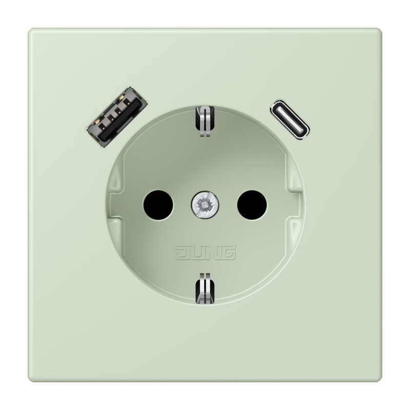 Jung LC152015CA218 Schutzkontakt-Steckdose mit USB-Ladegerät Typ AC, Safety+, Les Couleurs® 32042, vert anglais pâle