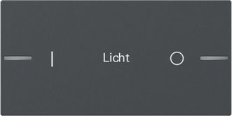 Gira 862228 Wippe Wippenset 2-fach individuell Tastsensensor 4.55, anthrazit