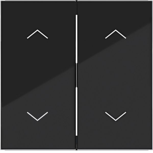 Hager WAW2002BG Wippe 2-fach mit Aufdruck Symbol 4x Pfeile, A.x/C.x, nachtschwarz glänzend