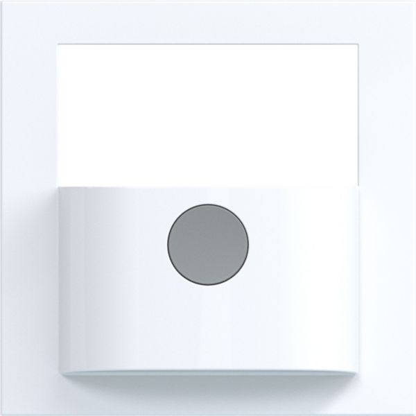 Hager WAN7040WG Bewegungsmelder Aufsatz für Einsatz Unterputz 1,1m/2,2m, mit Taste, A.x/C.x, lichtweiß glänzend