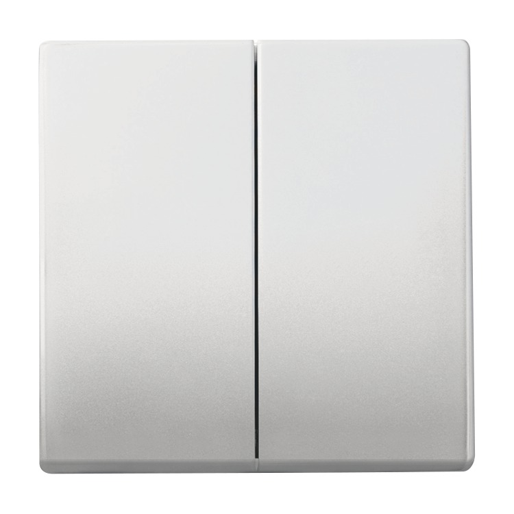 Busch-Jaeger 6736 FoH-866 Wippe 2-fach für Smart Switch Einsatz, edelstahl matt