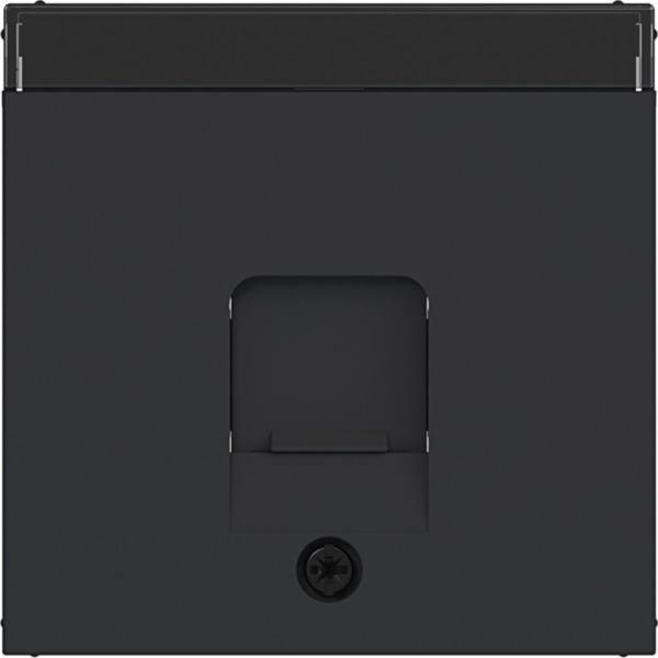 Hager WAF1160BM Zentralstück mit Staubschutzschieber 1-fach für KeyStone, Beschriftungsfeld, A.x/C.x, nachtschwarz matt
