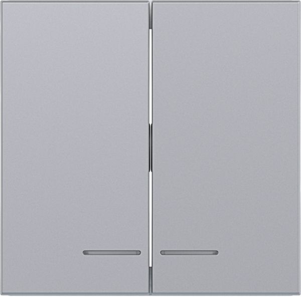 Hager WAW2031TA Wippe 2-fach, klare Linse, A.x/C.x, titan matt