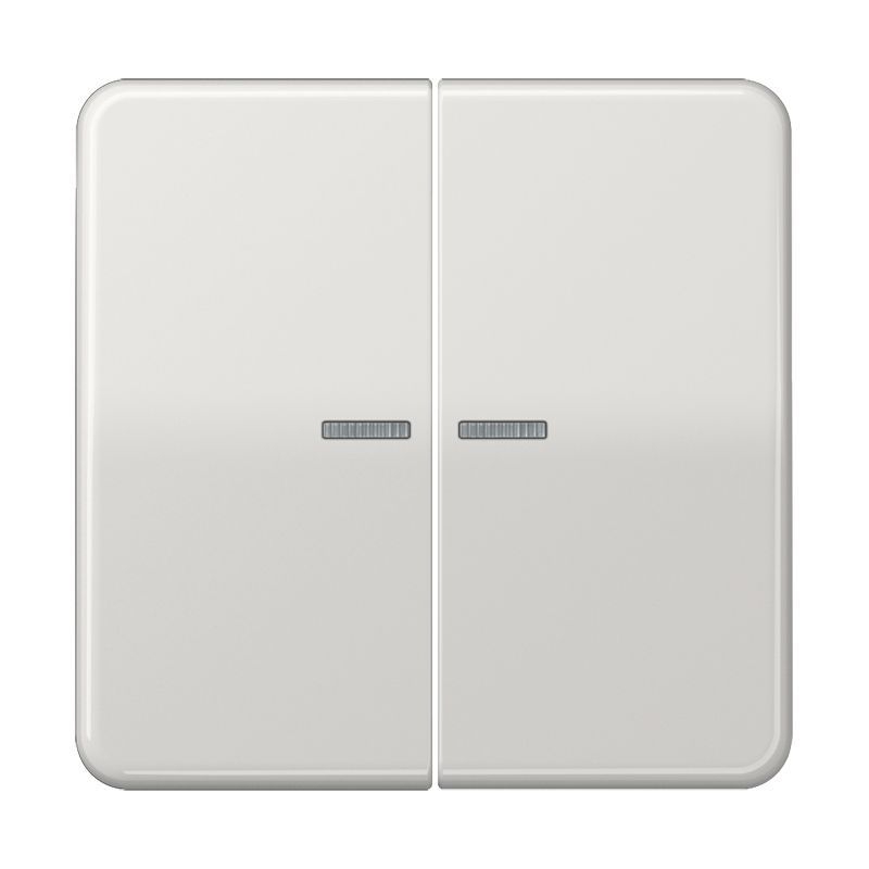 Jung CD102KO5LG Wippe mit Lichtleiter für Taster 2-fach, Duroplast, F10, Serie CD, lichtgrau