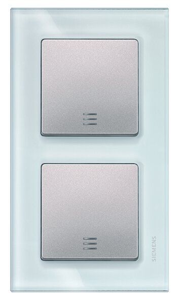 Siemens 5TG 1202 Glas-Rahmen 2-fach