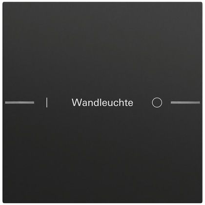 Gira 576174 Wippenset 1-fach individuell für Tastsensor 4.70, System 70, schwarz matt (lackiert)