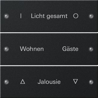 Gira 2203005 Wippenset 3-fach beschreibbar System 55 Schwarz matt lackiert
