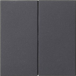 Gira 537028 Wippe 2-fach unbedruckt, System 55, anthrazit