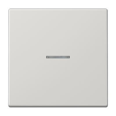 Jung LS10911STRFLG KNX RF Taster 1-fach, Duroplast, Serie LS, lichtgrau