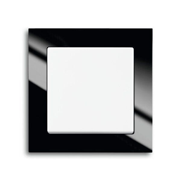Muster ohne Funktion Busch-Jaeger axcent, schwarz/studioweiß glänzend