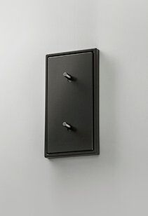 Jung AL12-20DR01 Abdeckung mit Kipphebel "Zylinder", 2 x 1 Kipphebel, senkrecht, Serie LS 1912, dark (lackiertes Aluminium)