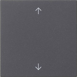 Gira 538928 Wippe 1-fach Pfeile, System 55, anthrazit
