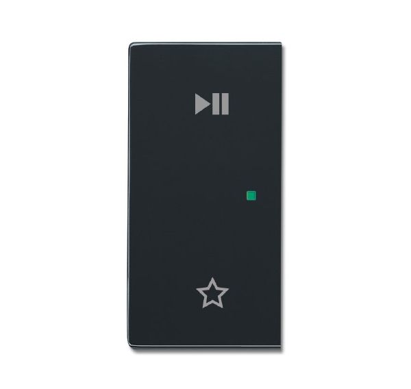 Busch-Jaeger 6237-21-81 Wippe 2-fach links mit Symbol "Play/Pause"