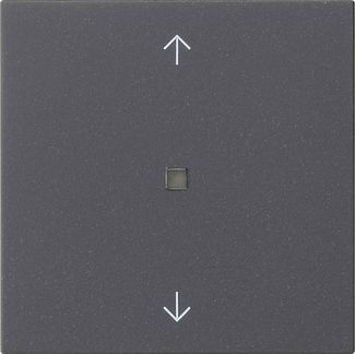 Gira 538828 Wippe 1-fach Pfeile Kontrollfenster, System 55, anthrazit