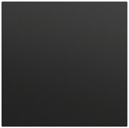 Gira 349674 Wippe gerade stehend, System 70, schwarz matt (lackiert)