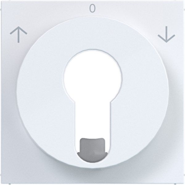 Hager WAF1311WG Zentralstück mit Aufdruck "Pfeile" für Jalousieschalter/-taster, Profilzylinder, A.x/C.x, lichtweiß glänzend