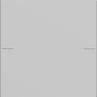 Gira 5751015 Wippenset 1-fach für Tastsensor 4.55, Grau matt