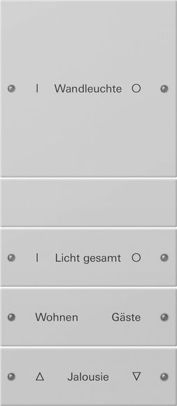 Gira 2204015 Wippenset 4-fach, (1+3) beschreibbar, System 55, Grau matt
