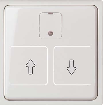 Elso 367254 Zentralplatte für elektronischer Rollladenschalter, Joy, reinweiß glänzend