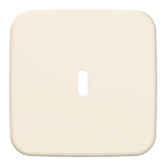 Busch-Jaeger 6479-212 Zentralscheibe für USB Ladestation 1-fach mit USB-C-Anschluss, Busch-Duro 2000 SI, weiß glänzend