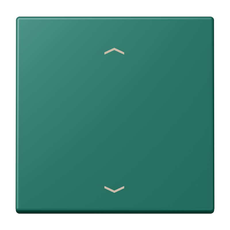 Jung LC990P216 Wippe 1-fach, mit Pfeilsymbolen, Les Couleurs® 32040, vert anglais