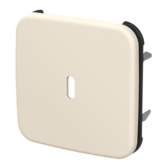 Busch-Jaeger 6479-212 Zentralscheibe für USB Ladestation 1-fach mit USB-C-Anschluss, Busch-Duro 2000 SI, weiß glänzend