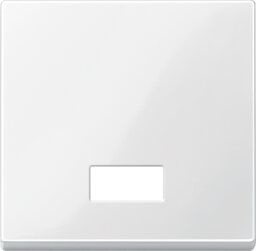 Merten 432819 Wippe mit rechteckigem Symbolfenster, System M, polarweiß glänzend