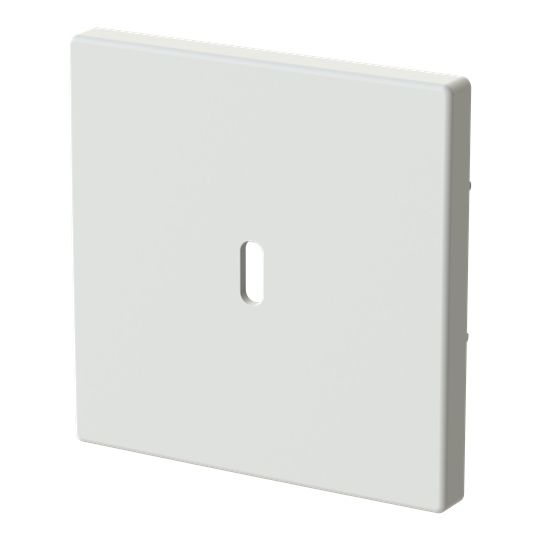 Busch-Jaeger 6479-884 Zentralscheibe für USB Ladestation 1-fach mit USB-C-Anschluss, Plattform 63, studioweiß matt