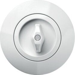 Berker 1647 Zentralstück mit Knebel, Serie 1930, polarweiß glänzend
